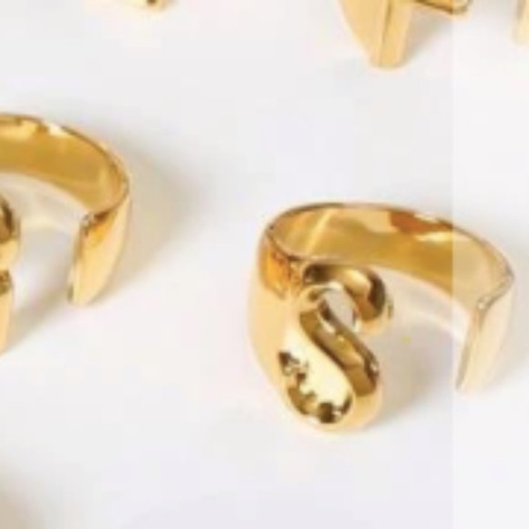(Harry Styles) H and S initial rings - Picture 3 of 7
